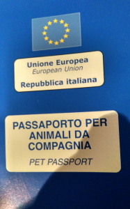 Pasport1